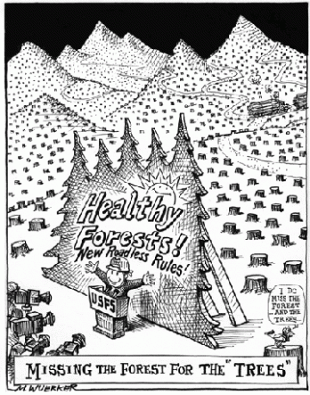 forest for the trees